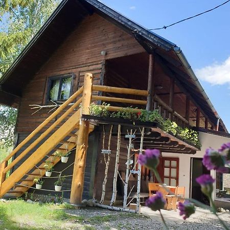 Pensiunea Padina Bran  Exteriör bild