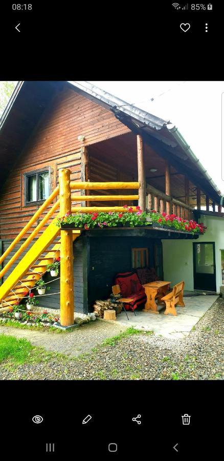 Pensiunea Padina Bran  Exteriör bild