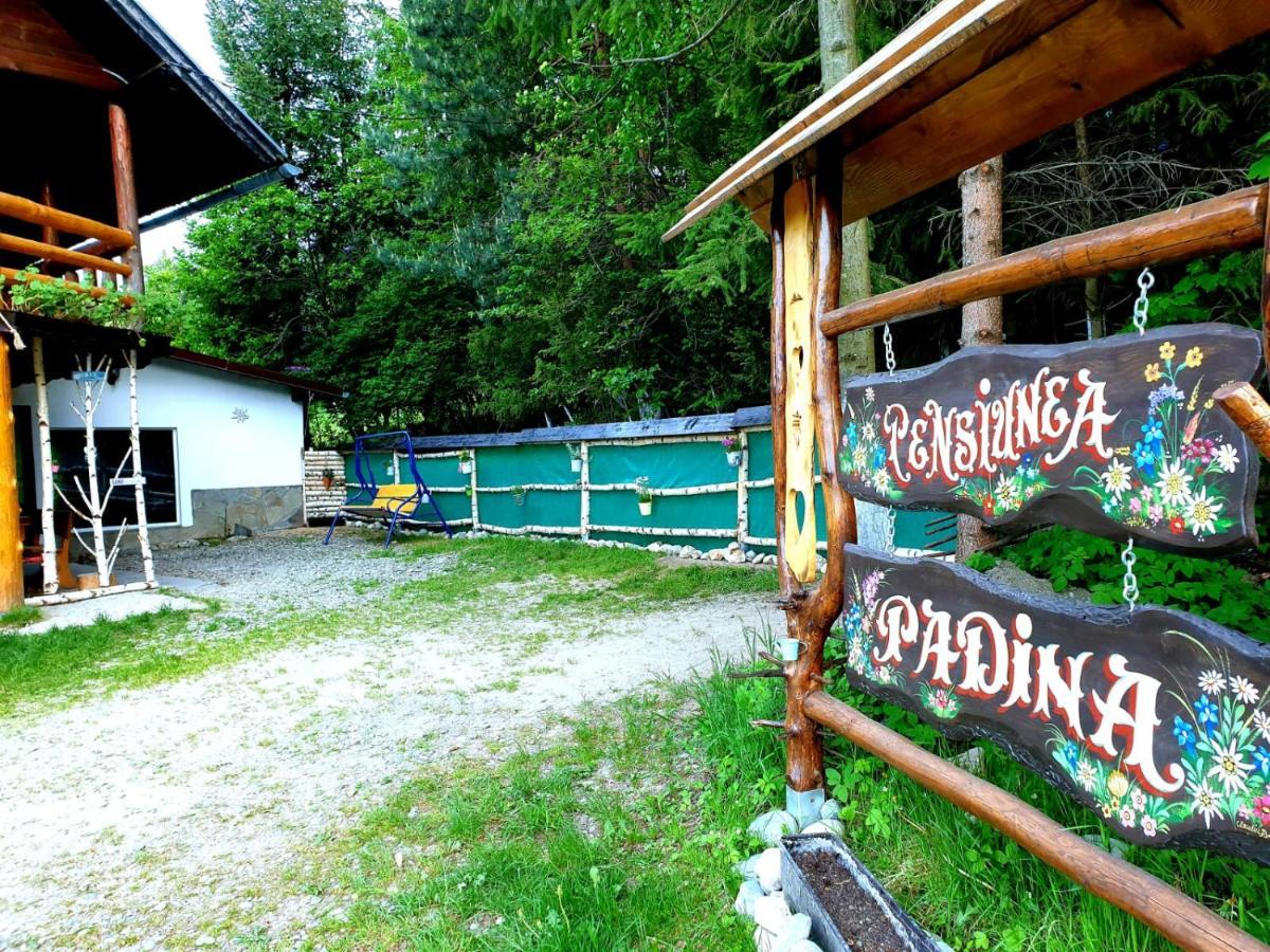 Pensiunea Padina Bran  Exteriör bild