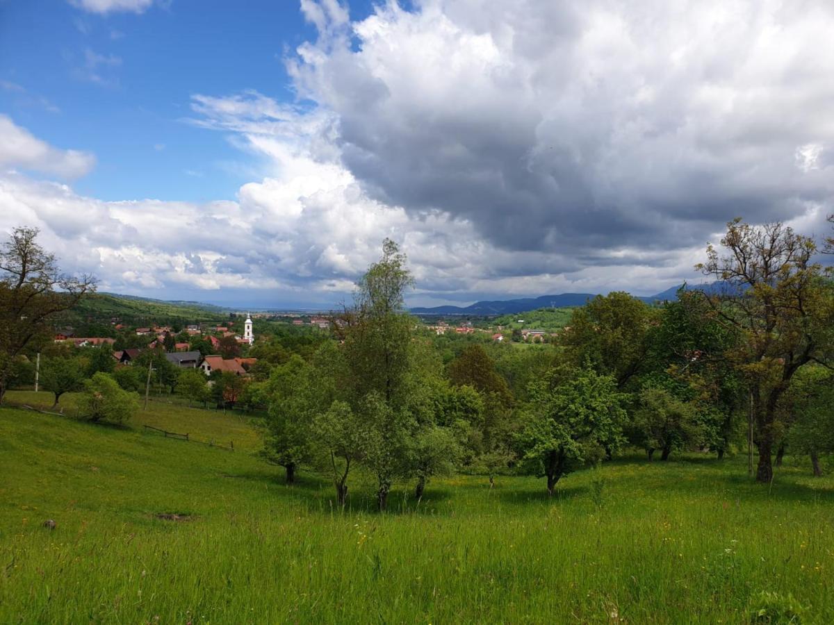 Pensiunea Padina Bran  Exteriör bild