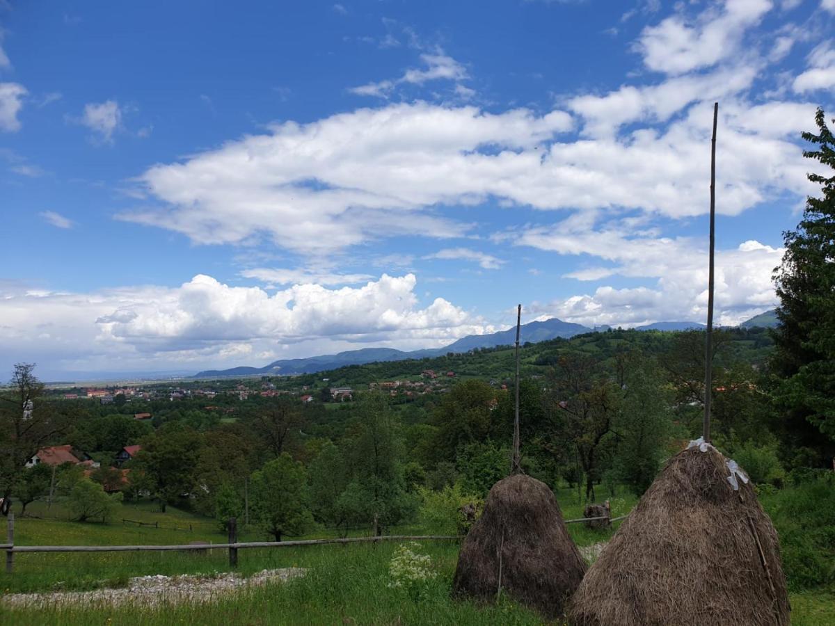 Pensiunea Padina Bran  Exteriör bild