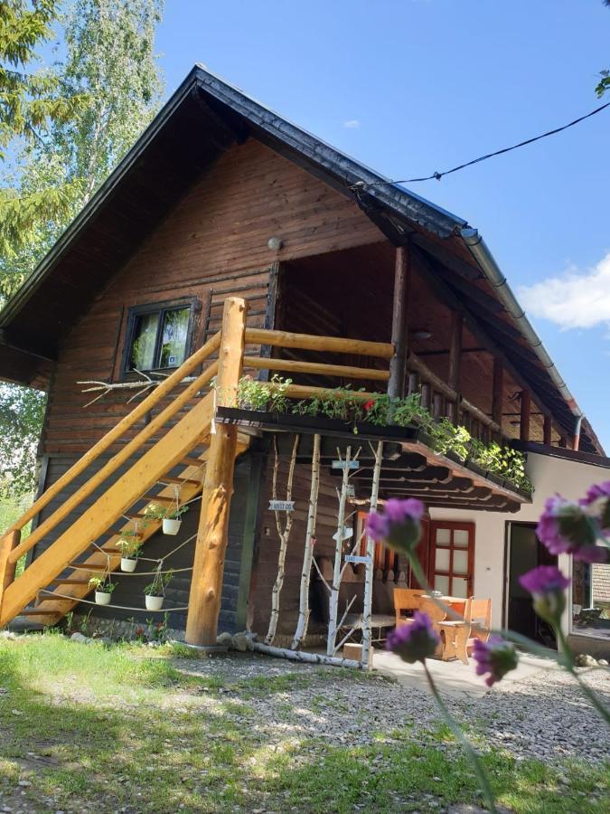 Pensiunea Padina Bran  Exteriör bild